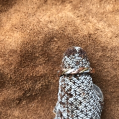 Indianerschmuck Ring,r783