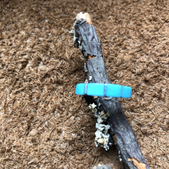 Zuni T�rkis Ring
