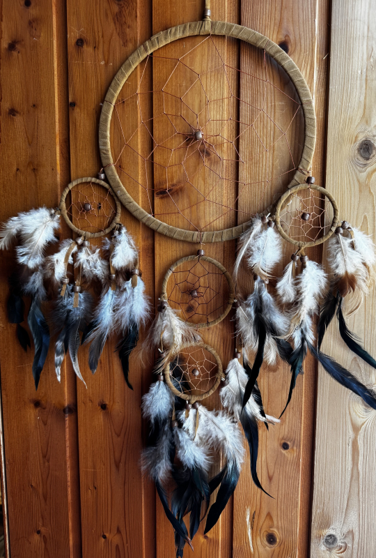 Dreamcatcher Generations